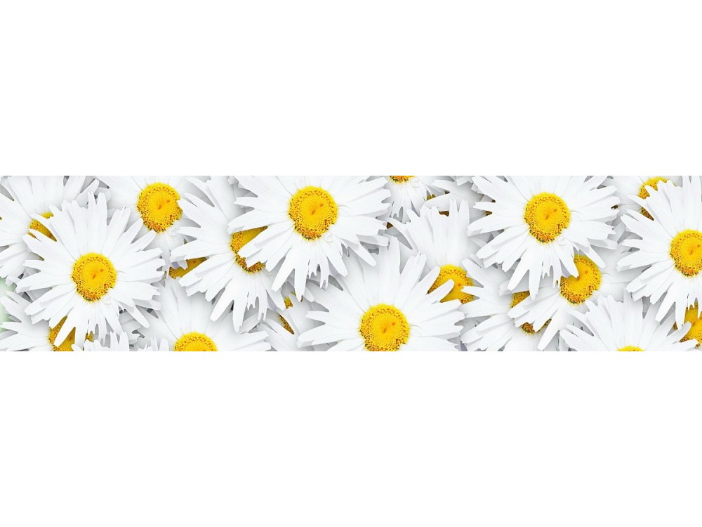  Фартук для кухни «Ромашки» 